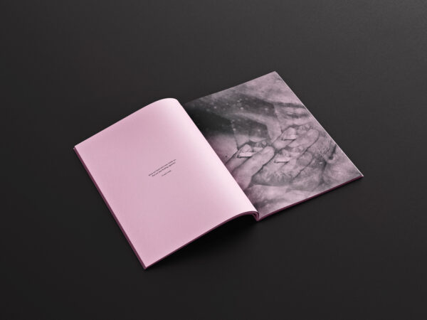 Motel-City-Sex-Book-pink-print