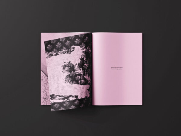 Motel-City-Sex-Book-pink-print