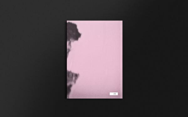 Motel-City-Sex-Book-pink-print