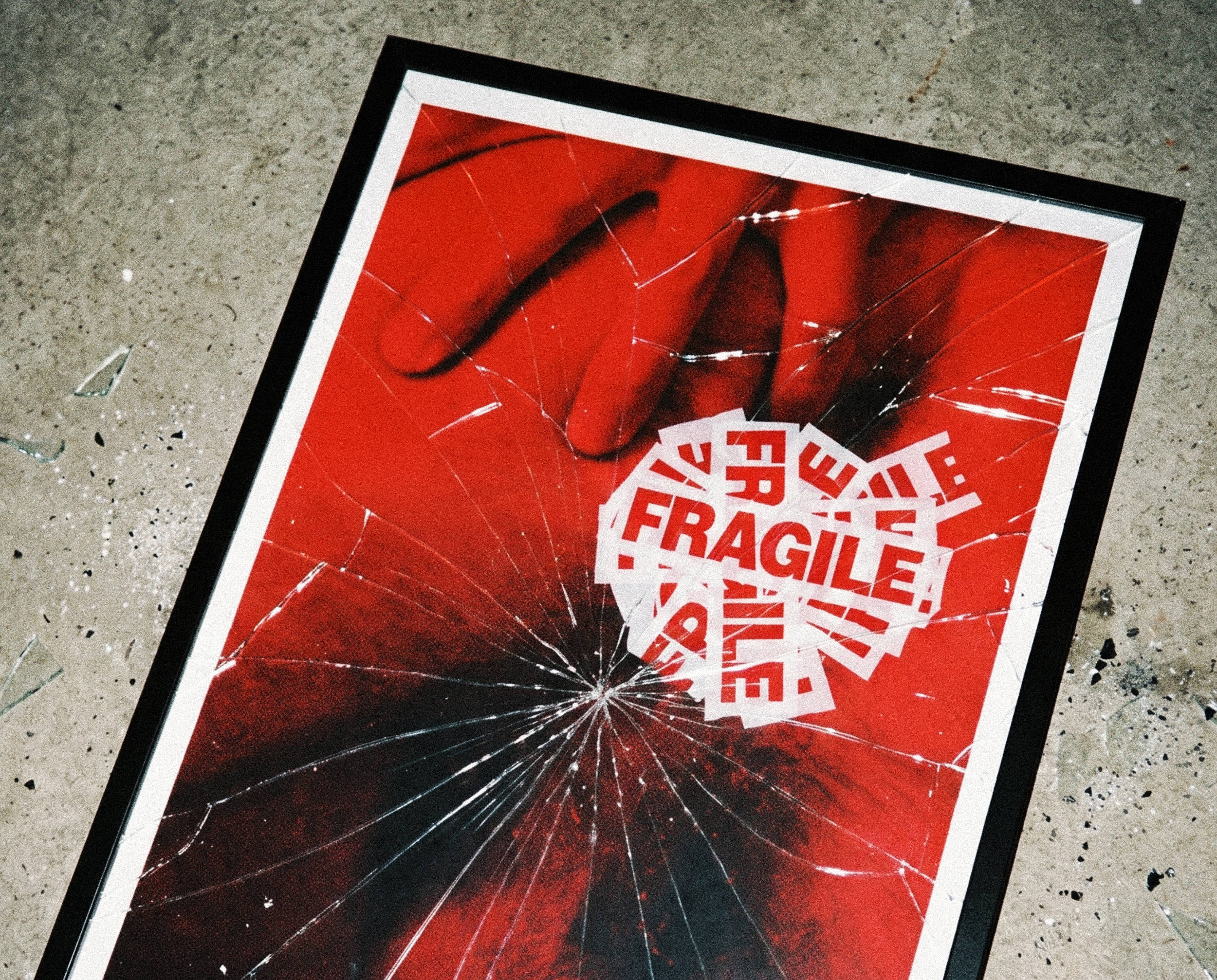 FRAGILE - immagine 3